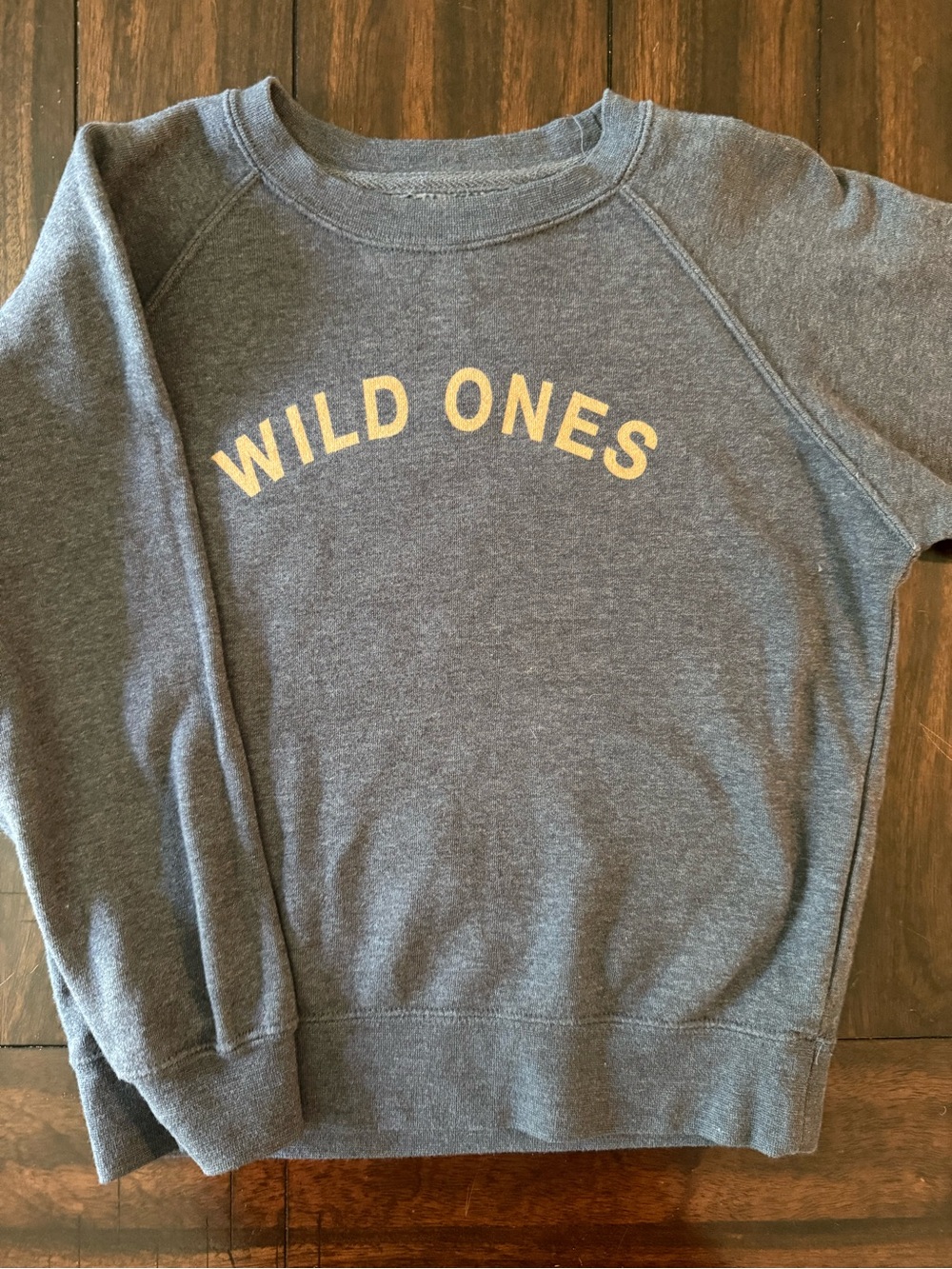 Wild Ones Heather blue Kids Sweatshirt (sawyer brand) small
